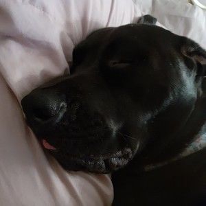 Meet your Posher, Burleigh